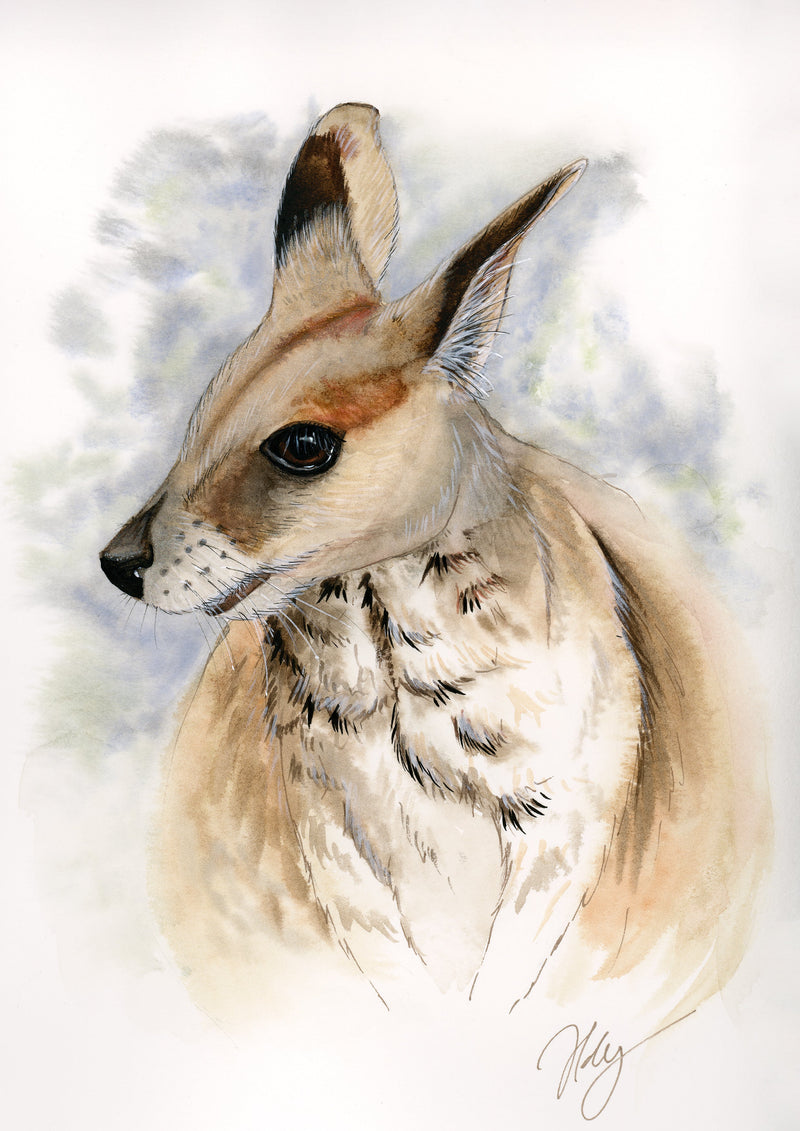 Australian Animal Art Prints