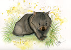 Wombat watercolour art print inspired by Australian wildlife