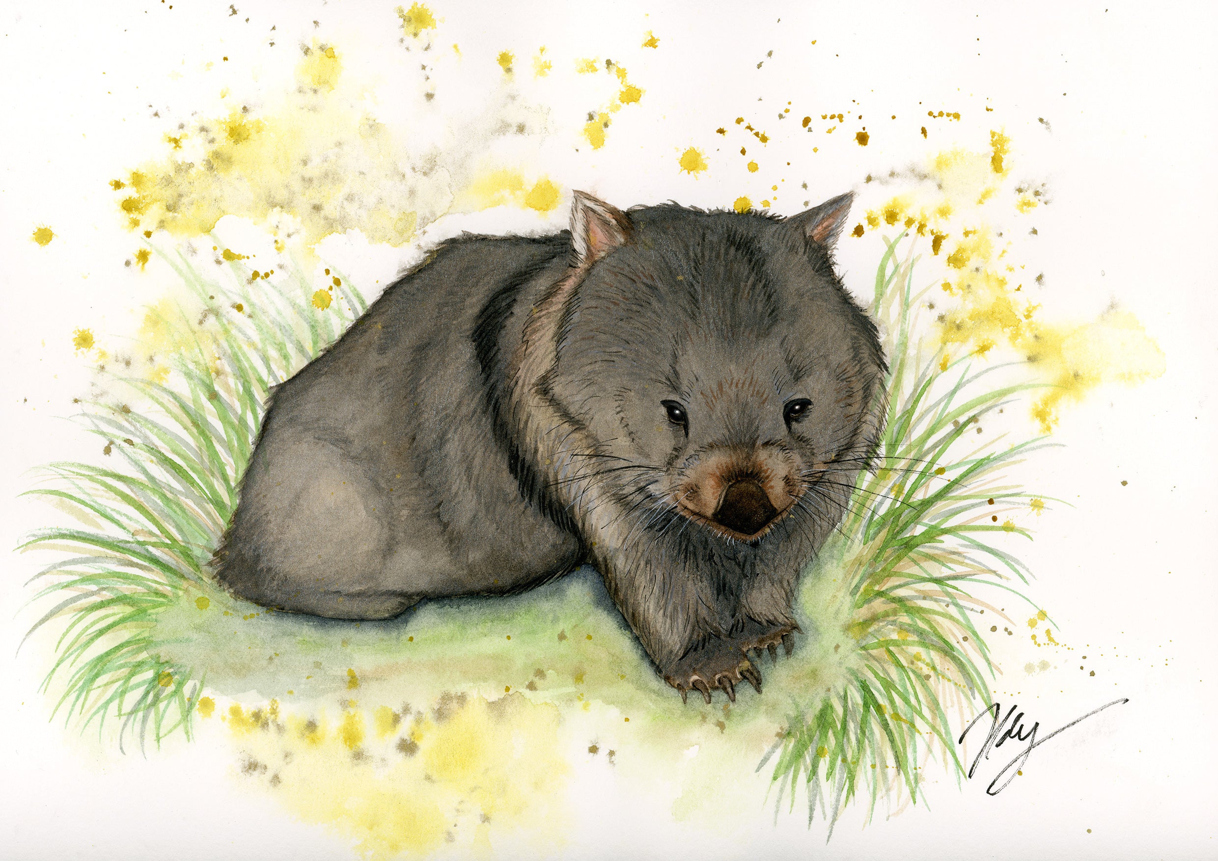 Wombat watercolour art print inspired by Australian wildlife